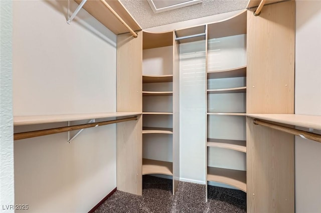 3557 Wayne Cir, Las Vegas, NV 89121 - walk in closet with carpet floors