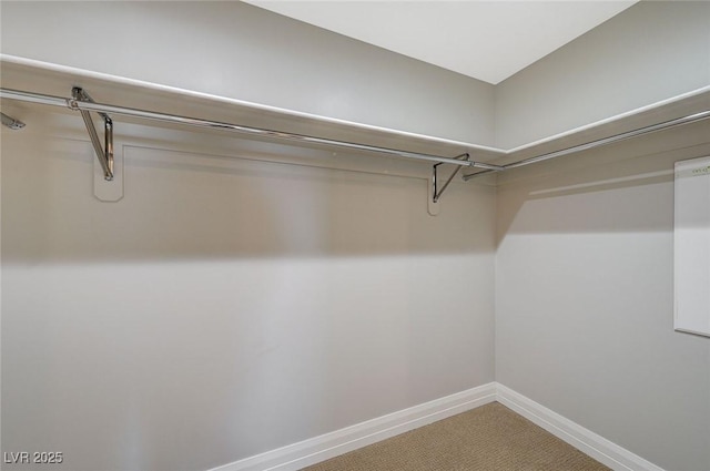 150 Las Vegas Blvd Unit 1716, Las Vegas, NV 89101 - spacious closet with carpet floors