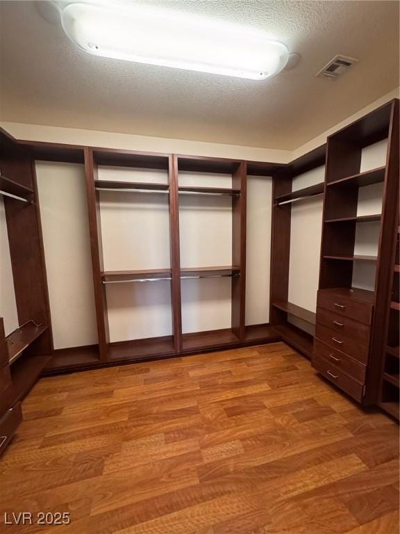 5005 Wild Thyme Ave, Las Vegas, NV 89131 - walk in closet with light wood-style flooring
