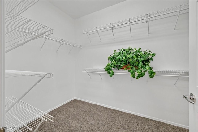 2110 Fort Sanders St, Henderson, NV 89052 - photo 21