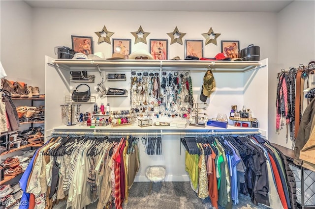 879 Klamath Springs St, Henderson, NV 89011 - view of spacious closet