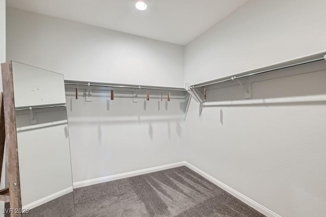 9440 Lunar Ray St, Las Vegas, NV 89143 - walk in closet with carpet floors