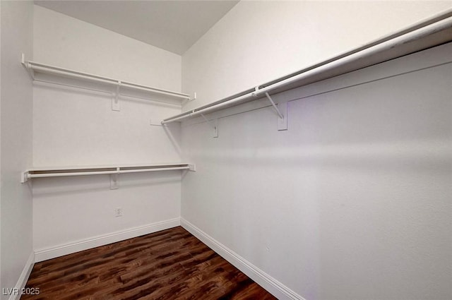 229 N Buteo Woods Ln, Las Vegas, NV 89144 - walk in closet with dark wood-type flooring