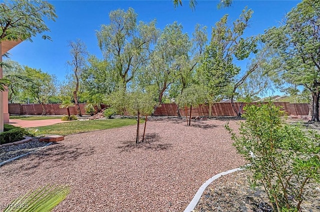 229 N Buteo Woods Ln, Las Vegas, NV 89144 - view of fenced backyard