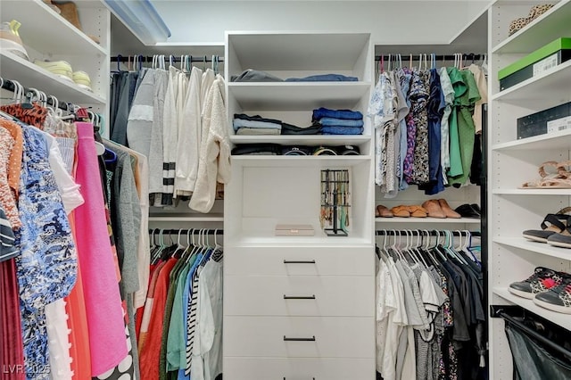201 Crown Imperial St, Henderson, NV 89074 - view of spacious closet