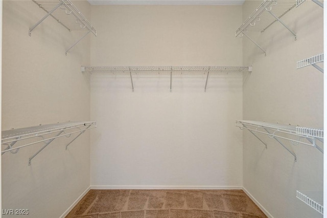 2508 Chasma Dr, Henderson, NV 89044 - walk in closet featuring light carpet