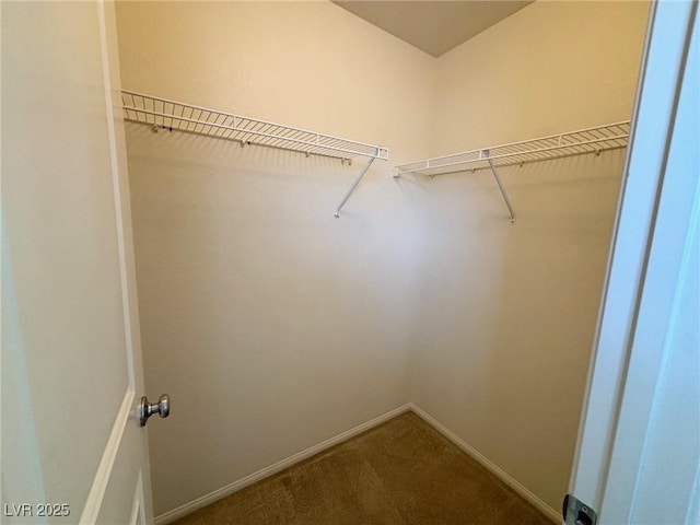 3165 Beltrada Ave, Henderson, NV 89044 - photo 18