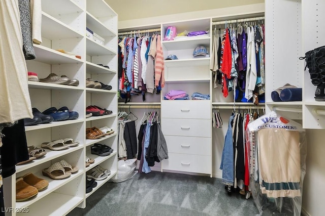 816 Sandsprings St, Henderson, NV 89011 - spacious closet featuring carpet flooring