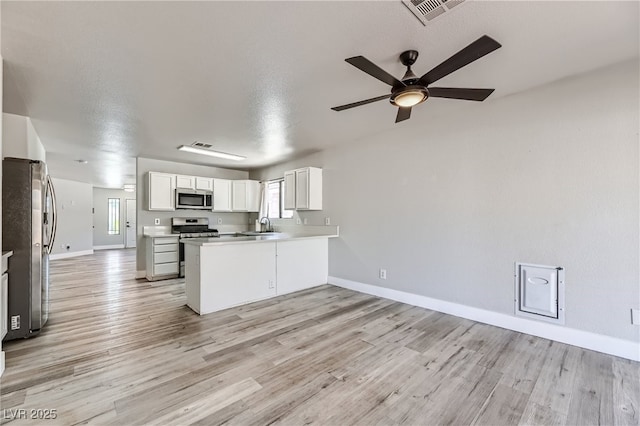 1038 Silver Creek Ave, Las Vegas, NV 89183 - kitchen with appliances with stainless steel finishes, light wood-style flooring, a peninsula, and a ceiling fan