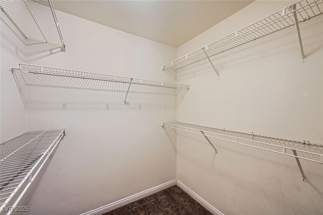 4400 S Jones Blvd Unit 2007, Las Vegas, NV 89103 - spacious closet with dark colored carpet