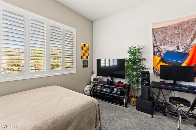 10160 Tree Blossom Ave, Las Vegas, NV 89166 - bedroom featuring carpet