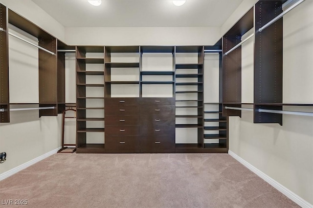 6208 W Rome Blvd, Las Vegas, NV 89131 - walk in closet with carpet floors