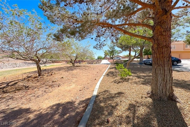 105 Lighthouse Dr Unit 105, Boulder City, NV 89005 - view of yard