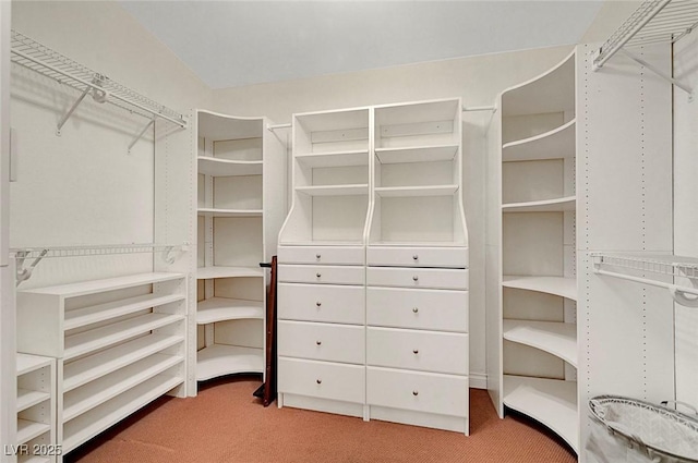5224 Painted Lakes Way, Las Vegas, NV 89149 - walk in closet featuring carpet flooring