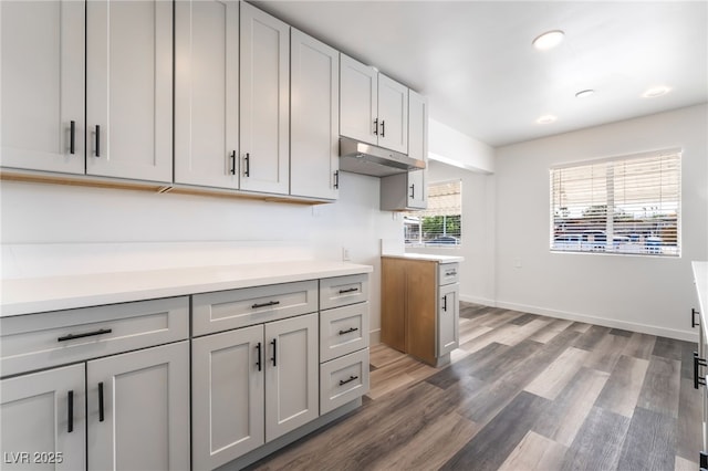 600 Berry Cir, Las Vegas, NV 89107 - kitchen with gray cabinetry, light countertops, under cabinet range hood, wood finished floors, and recessed lighting