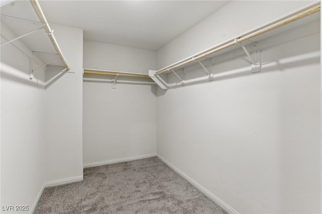 6850 Magenta Moon St, North Las Vegas, NV 89086 - walk in closet with carpet flooring