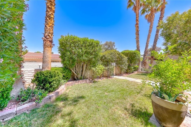 2101 Plaza Del Fuentes, Las Vegas, NV 89102 - view of yard