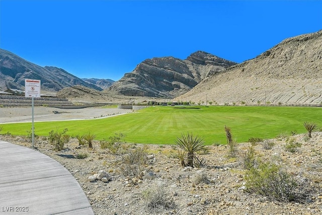 2931 Raywood Ash Dr, Las Vegas, NV 89138 - photo 50