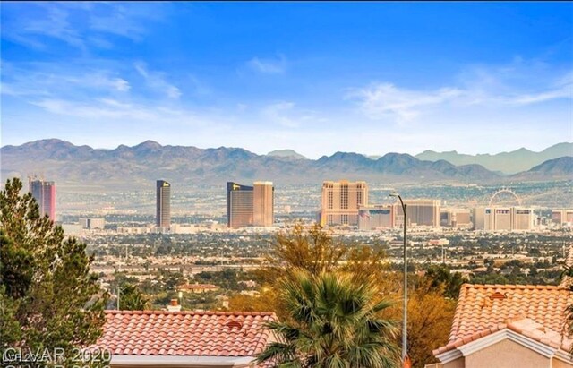 2931 Raywood Ash Dr, Las Vegas, NV 89138 - photo 58