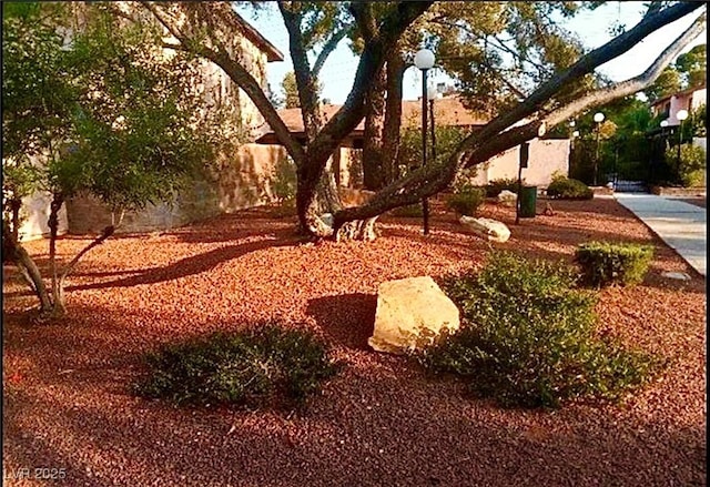 4338 Caliente St Unit 12, Las Vegas, NV 89119 - view of yard