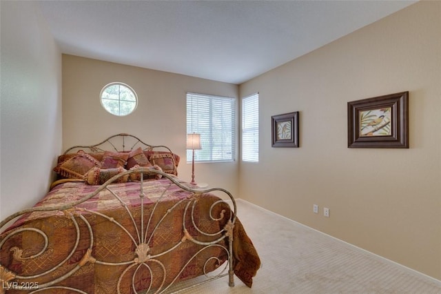 10243 Songsparrow Ct, Las Vegas, NV 89135 - bedroom featuring carpet floors and baseboards