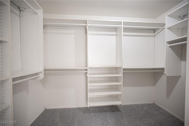 9728 Drumcannon Ave, Las Vegas, NV 89129 - walk in closet featuring carpet floors