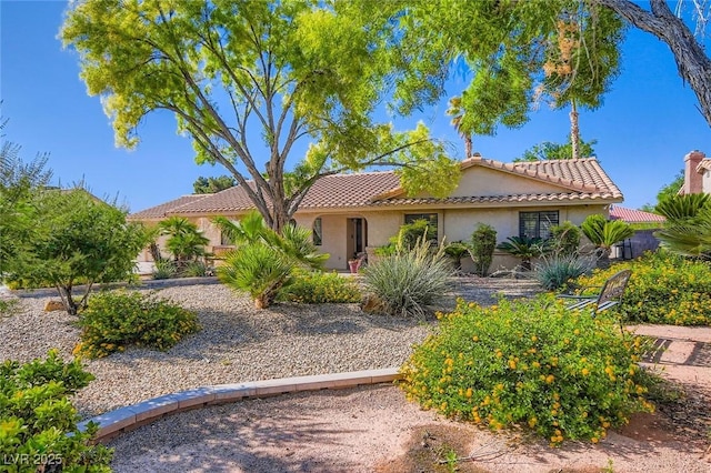 7385 Severence Ln, Las Vegas, NV 89131 - photo 39