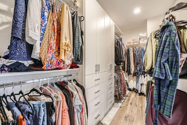 3111 Lido Isle Ct, Las Vegas, NV 89117 - spacious closet featuring light wood finished floors