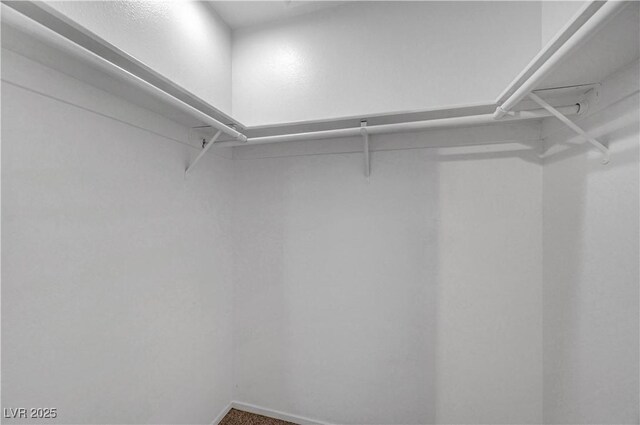 641 Bay Bridge Dr, North Las Vegas, NV 89032 - view of walk in closet