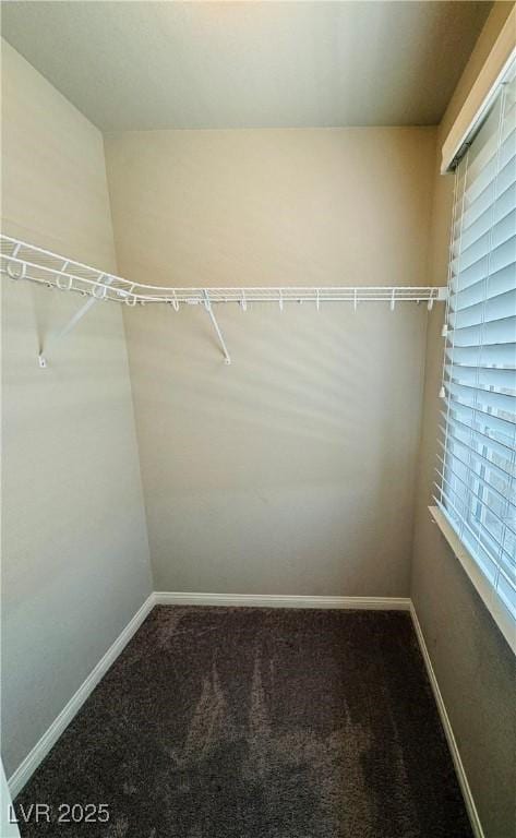 9876 Parador Cellars Ct, Las Vegas, NV 89141 - spacious closet with carpet