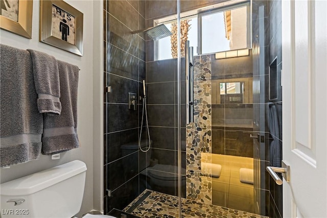 1509 Winslow St, Las Vegas, NV 89117 - bathroom featuring toilet and a shower stall