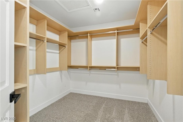 2105 Madagascar Ln, Las Vegas, NV 89117 - walk in closet with carpet flooring