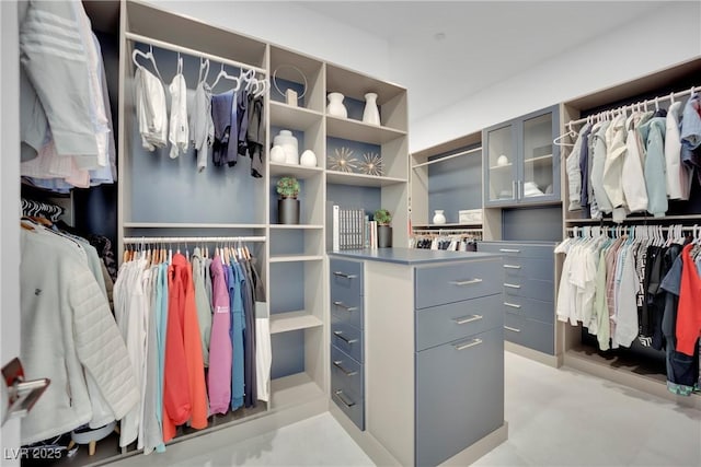818 Calluna St, Las Vegas, NV 89138 - view of walk in closet