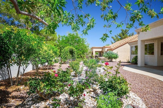 9704 Brawley Dr, Las Vegas, NV 89134 - view of yard