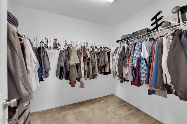 10045 Natchez Trace St, Las Vegas, NV 89178 - spacious closet with carpet floors