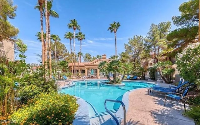 3145 E Flamingo Rd Unit 1045, Las Vegas, NV 89121 - community pool with a patio area