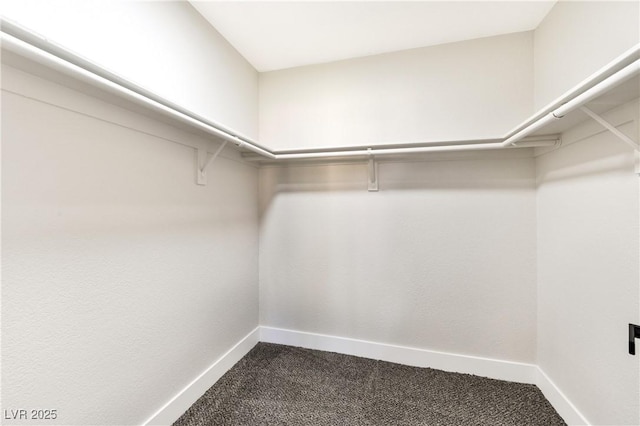 811 Spyglass Ln, Las Vegas, NV 89107 - spacious closet with dark colored carpet