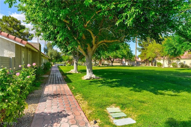 811 Spyglass Ln, Las Vegas, NV 89107 - view of green lawn