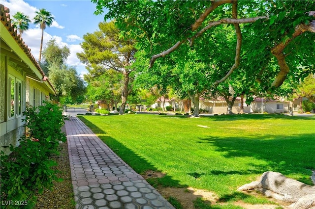 811 Spyglass Ln, Las Vegas, NV 89107 - view of grassy yard
