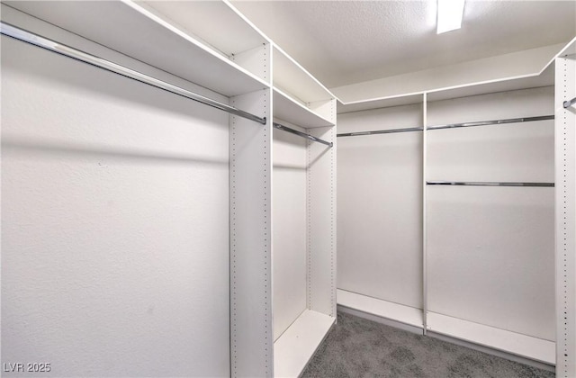 9129 Patrick Henry Ave, Las Vegas, NV 89149 - walk in closet with carpet