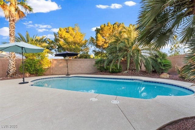 8623 Kennedy Heights Ct, Las Vegas, NV 89131 - view of pool with a fenced backyard and a patio