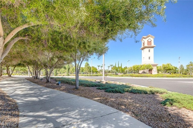 1013 Brinkman St, Las Vegas, NV 89138 - view of community