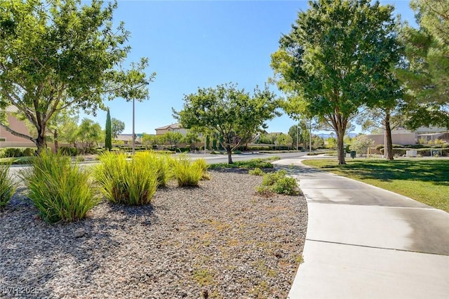 1013 Brinkman St, Las Vegas, NV 89138 - view of property's community