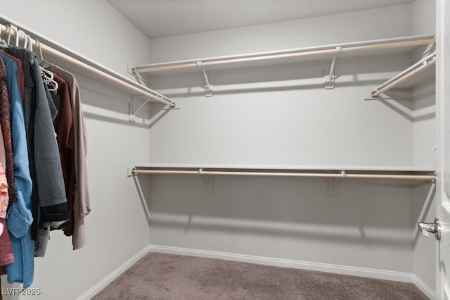 4498 Lantern Point Ave, North Las Vegas, NV 89084 - spacious closet with carpet flooring