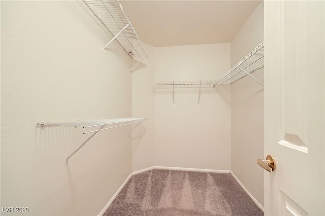 9401 Mount Cash Ave Unit 103, Las Vegas, NV 89129 - photo 30