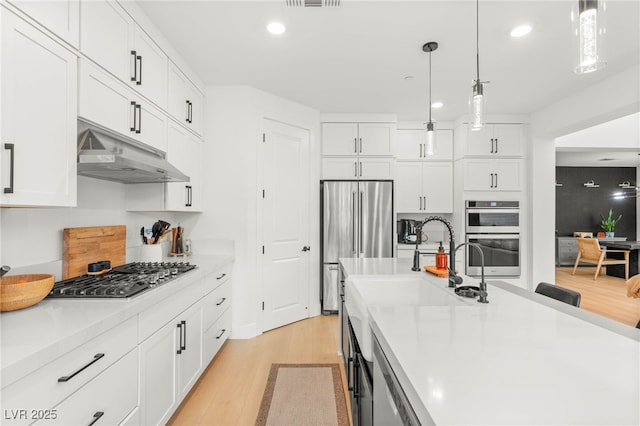 389 Red Feather Peak Ct, Las Vegas, NV 89138 - kitchen featuring appliances with stainless steel finishes, under cabinet range hood, light wood-type flooring, recessed lighting, and light countertops