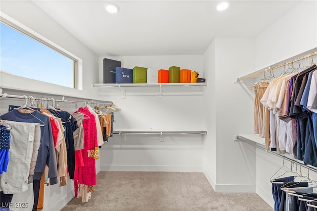 389 Red Feather Peak Ct, Las Vegas, NV 89138 - walk in closet with carpet floors