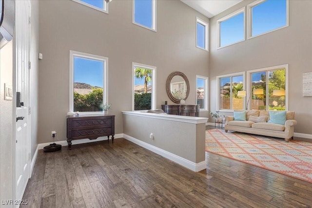 364 Trentino Alto St, Henderson, NV 89012 - living area with a towering ceiling and hardwood / wood-style flooring