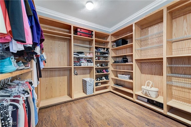 5913 Audria Falls Ave, Las Vegas, NV 89131 - walk in closet with wood finished floors