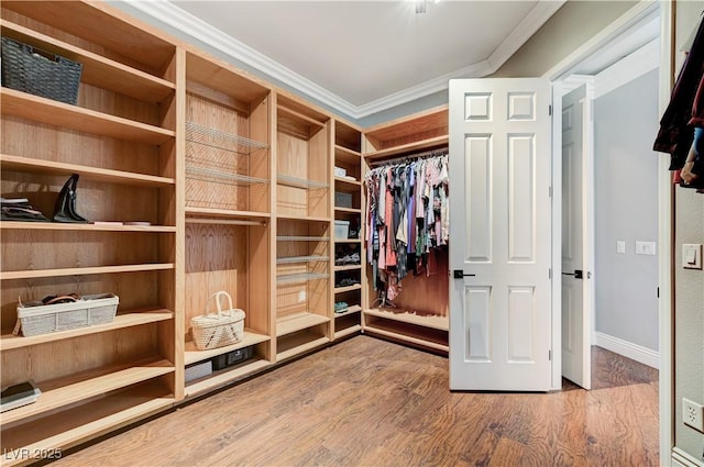 5913 Audria Falls Ave, Las Vegas, NV 89131 - spacious closet featuring wood finished floors